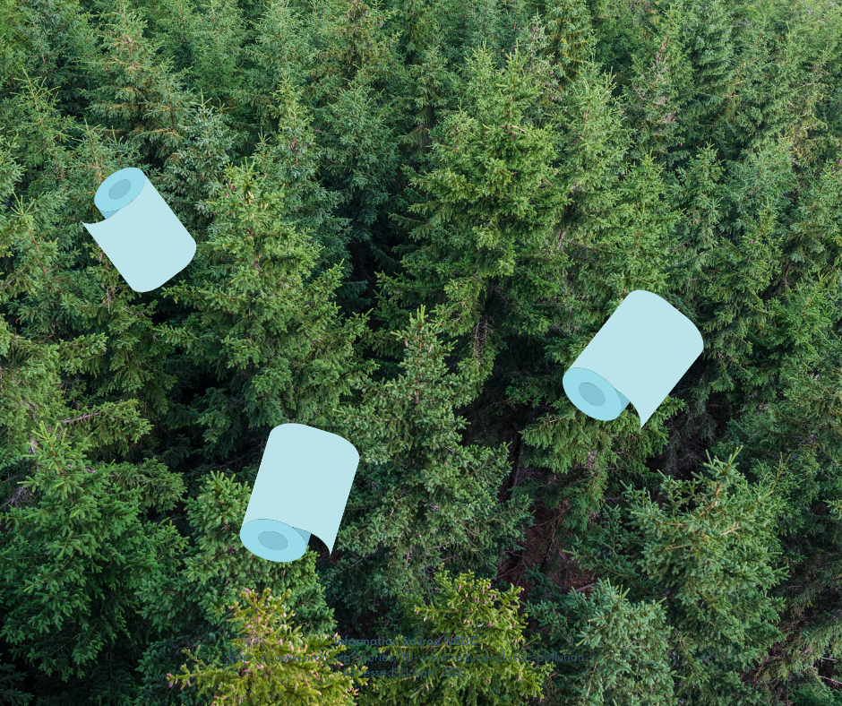 Paberrätikute alternatiivid, flanellist rätikurull