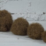 Biolagunev - kookoskiud