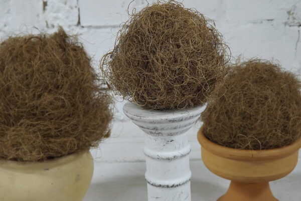 Kookoskiust plastikuvaba nuusik