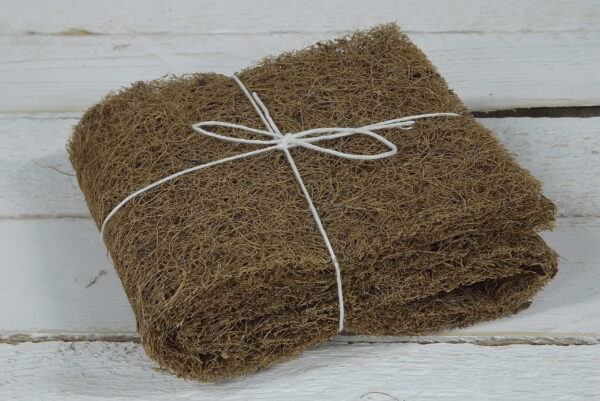 Kookoskiust pesunuustik