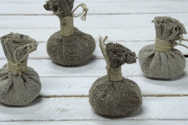 Plasivaba nõudepesunuustik