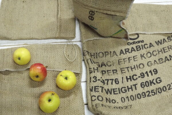 Dźuudist juurviljakott