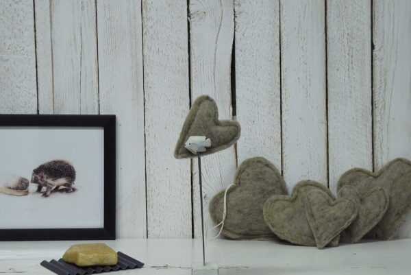 Lambavillane nuustik, süda